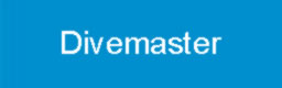 Divemaster
