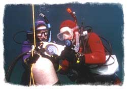 Multi-Level Computer Diver