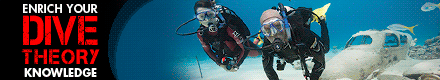 PADI eLearning Dive Theory Online Course