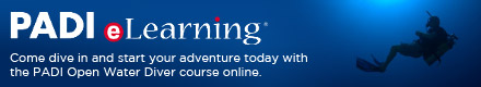 PADI eLearning Learn to Dive Anytime Anywhere