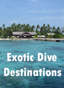 exotic dive destinations