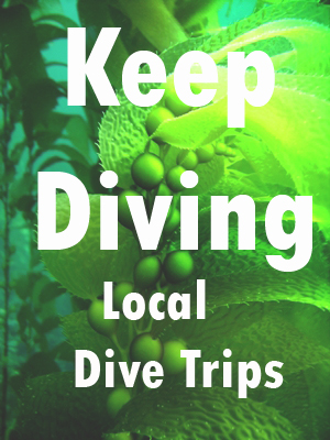 california scuba diving trips