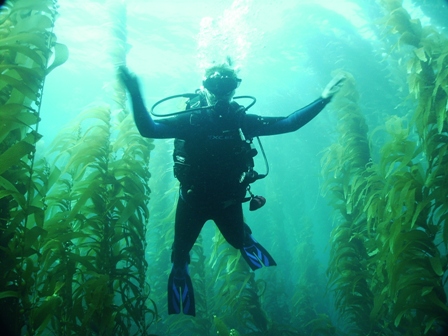 Become Certified: PADI Open Water Diver Course