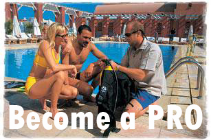 become a padi dive professional
