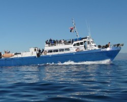 Spectre Scuba Dive Trip Spectre Scuba Dive Trip