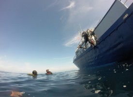 DCIM100GOPRO DCIM100GOPRO