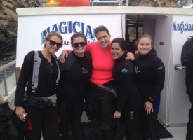 IMG_3958 IMG_3958